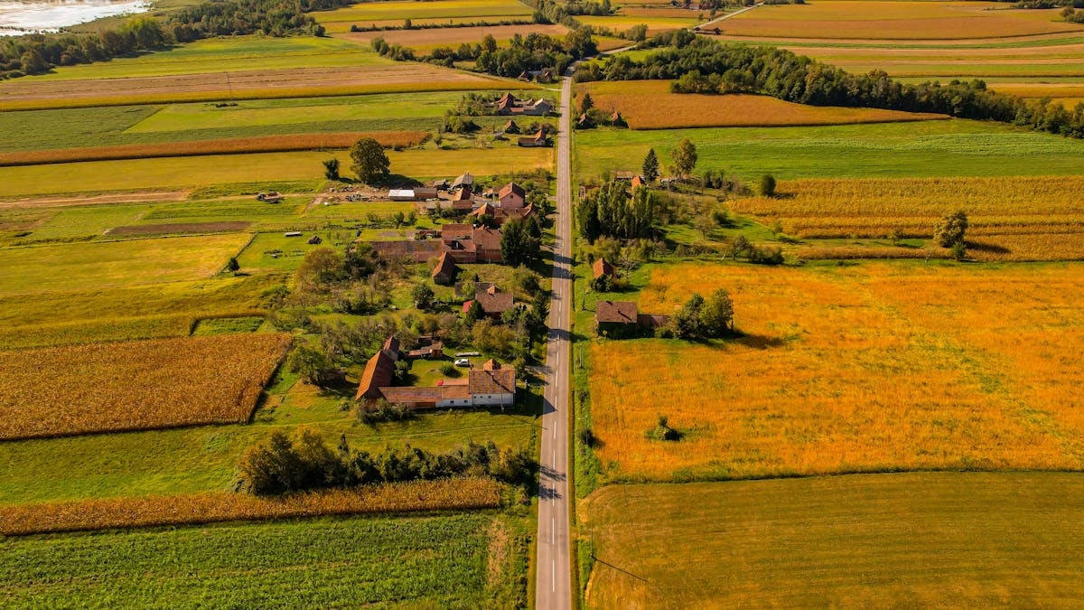 Veselīga uztura pamati